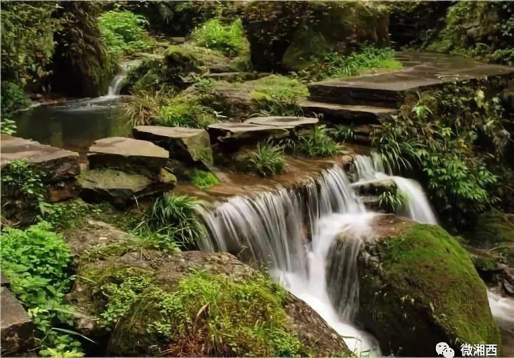 小僵尸射飞鸟